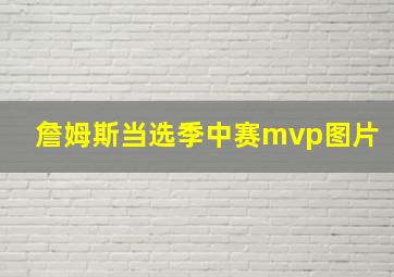 詹姆斯当选季中赛mvp图片