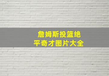 詹姆斯投篮绝平奇才图片大全