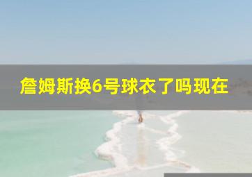 詹姆斯换6号球衣了吗现在