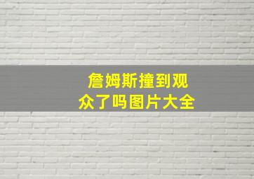 詹姆斯撞到观众了吗图片大全