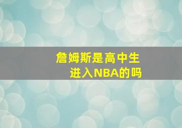 詹姆斯是高中生进入NBA的吗