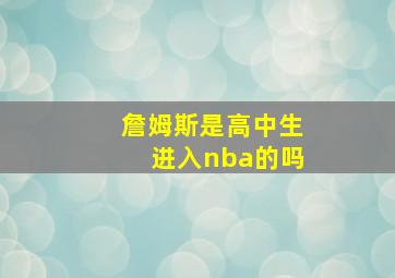 詹姆斯是高中生进入nba的吗