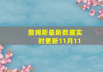 詹姆斯最新数据实时更新11月11