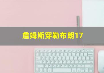 詹姆斯穿勒布朗17