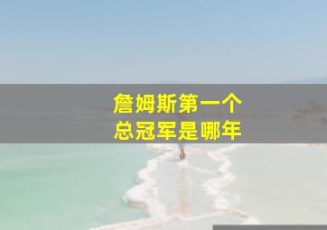 詹姆斯第一个总冠军是哪年