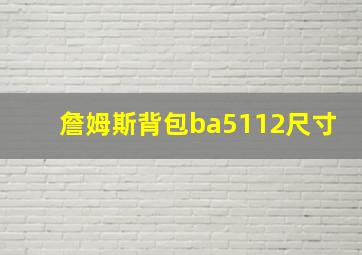 詹姆斯背包ba5112尺寸