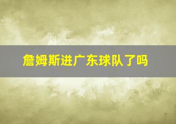 詹姆斯进广东球队了吗