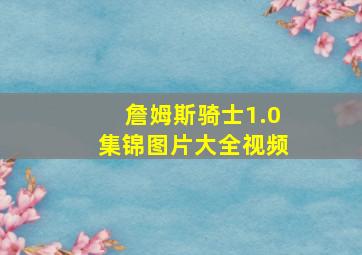 詹姆斯骑士1.0集锦图片大全视频