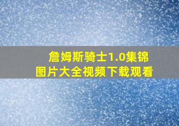 詹姆斯骑士1.0集锦图片大全视频下载观看