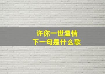 许你一世温情下一句是什么歌