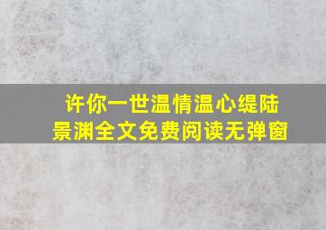 许你一世温情温心缇陆景渊全文免费阅读无弹窗