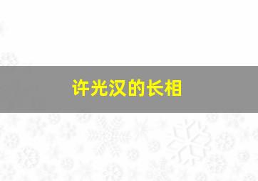 许光汉的长相