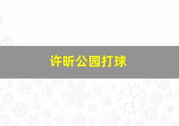 许昕公园打球