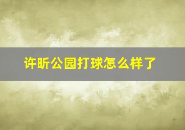 许昕公园打球怎么样了