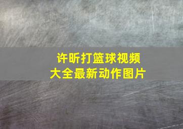 许昕打篮球视频大全最新动作图片