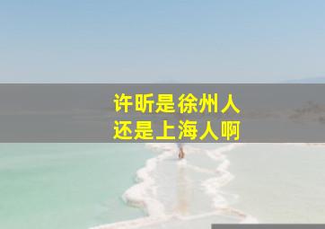 许昕是徐州人还是上海人啊