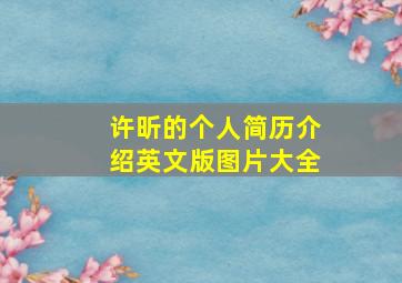 许昕的个人简历介绍英文版图片大全