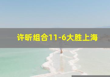 许昕组合11-6大胜上海