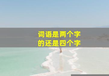 词语是两个字的还是四个字