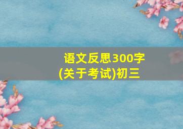 语文反思300字(关于考试)初三