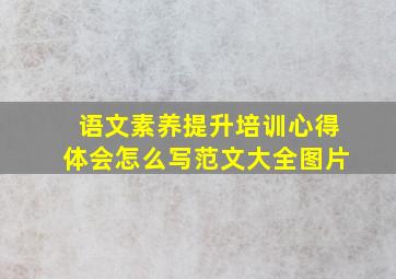 语文素养提升培训心得体会怎么写范文大全图片