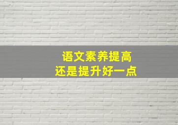 语文素养提高还是提升好一点