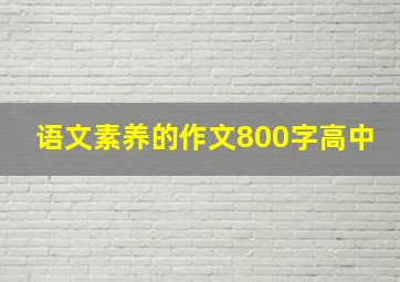 语文素养的作文800字高中