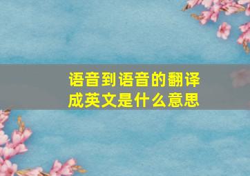 语音到语音的翻译成英文是什么意思