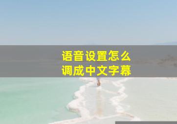 语音设置怎么调成中文字幕