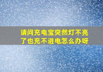 请问充电宝突然灯不亮了也充不进电怎么办呀