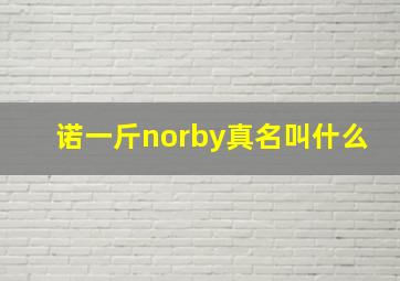 诺一斤norby真名叫什么