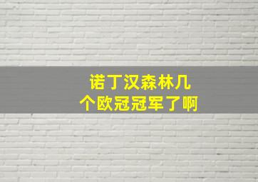 诺丁汉森林几个欧冠冠军了啊