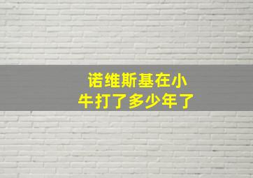 诺维斯基在小牛打了多少年了