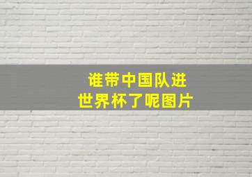 谁带中国队进世界杯了呢图片