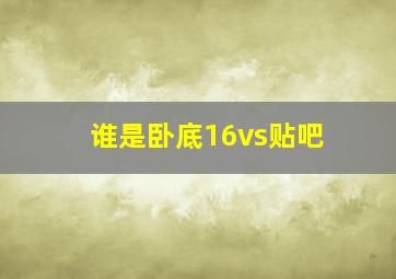 谁是卧底16vs贴吧