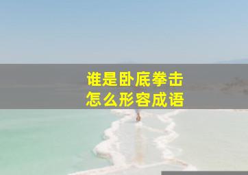 谁是卧底拳击怎么形容成语