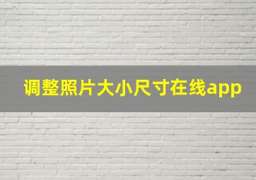 调整照片大小尺寸在线app