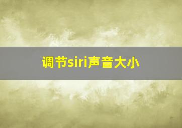 调节siri声音大小