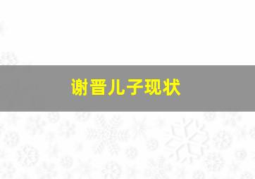 谢晋儿子现状