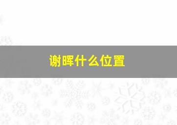 谢晖什么位置