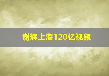 谢辉上港120亿视频