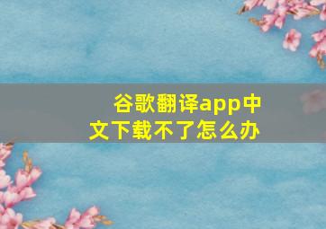 谷歌翻译app中文下载不了怎么办