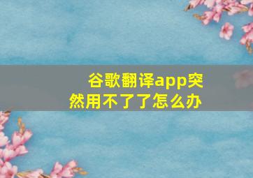 谷歌翻译app突然用不了了怎么办