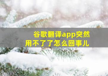 谷歌翻译app突然用不了了怎么回事儿