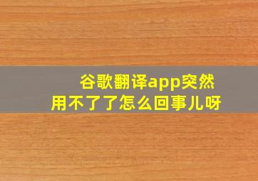 谷歌翻译app突然用不了了怎么回事儿呀