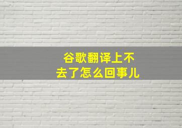 谷歌翻译上不去了怎么回事儿