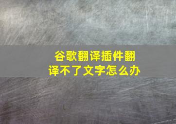 谷歌翻译插件翻译不了文字怎么办