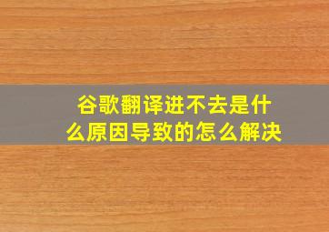 谷歌翻译进不去是什么原因导致的怎么解决