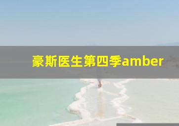 豪斯医生第四季amber