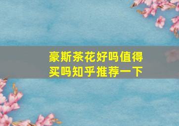 豪斯茶花好吗值得买吗知乎推荐一下